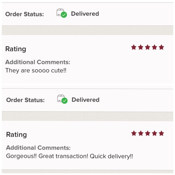 NEW Pocahontas Havaianas Sandals - Picture 7 of 8